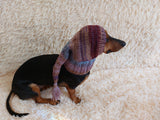 Winter hat for a dog with a pompom, christmas hat for a dachshund or small dog