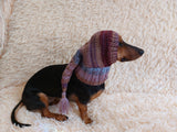 Winter hat for a dog with a pompom, christmas hat for a dachshund or small dog