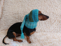 Winter hat for a dog with a pompom, christmas hat for a dachshund or small dog