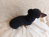 Alpaca wool costume with classic arana sweater and hat for dachshund or small dog, winter set sweater and hat for dogs