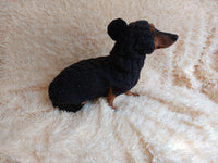 Alpaca wool costume with classic arana sweater and hat for dachshund or small dog, winter set sweater and hat for dogs