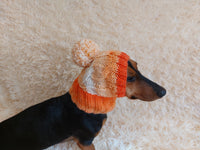 Dog hat with pom poms wool, warm hat for dachshund, wool hat for small dogs