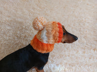 Dog hat with pom poms wool, warm hat for dachshund, wool hat for small dogs