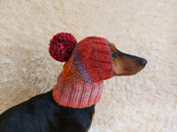 Dog hat with pom poms wool, warm hat for dachshund, wool hat for small dogs