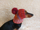 Dog hat with pom poms wool, warm hat for dachshund, wool hat for small dogs