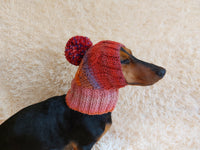 Dog hat with pom poms wool, warm hat for dachshund, wool hat for small dogs