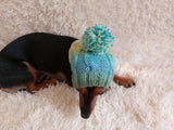 Dog hat with pom poms wool, warm hat for dachshund, wool hat for small dogs