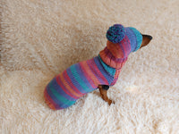 Set sweater and hat for dogs, sweater and hat for dachshunds, clothes for dogs, clothes for dachshunds