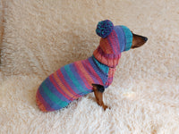 Set sweater and hat for dogs, sweater and hat for dachshunds, clothes for dogs, clothes for dachshunds