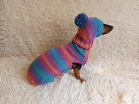 Set sweater and hat for dogs, sweater and hat for dachshunds, clothes for dogs, clothes for dachshunds