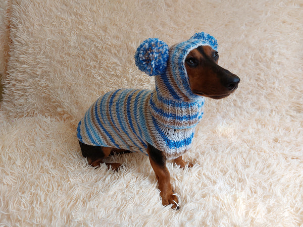 Lollipop suit for mini dachshund sweater and hat,suit set sweater and hat for dog,wiener sweater and hat, dog set sweater and hat set