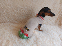 Fly Agaric and Bee Pet Clothes-mushroom Knit dog sweater