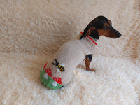 Fly Agaric and Bee Pet Clothes-mushroom Knit dog sweater