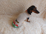 Fly Agaric and Bee Pet Clothes-mushroom Knit dog sweater