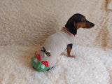 Fly Agaric and Bee Pet Clothes-mushroom Knit dog sweater