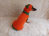 Pumpkin Halloween Clothes for Pets - Dog and Cat Pumpkin Sweater - Halloween Outfit Dachshund Pumpkin Costume