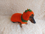 Pumpkin Halloween Clothes for Pets - Dog and Cat Pumpkin Sweater - Halloween Outfit Dachshund Pumpkin Costume