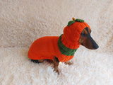 Pumpkin Halloween Clothes for Pets - Dog and Cat Pumpkin Sweater - Halloween Outfit Dachshund Pumpkin Costume