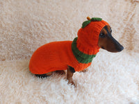 Pumpkin Halloween Clothes for Pets - Dog and Cat Pumpkin Sweater - Halloween Outfit Dachshund Pumpkin Costume