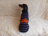 Dog costumes pumpkin sweater, dog costumes for halloween, pumpkin halloween costumes for pets, puppies, cat and dog sweater for halloween