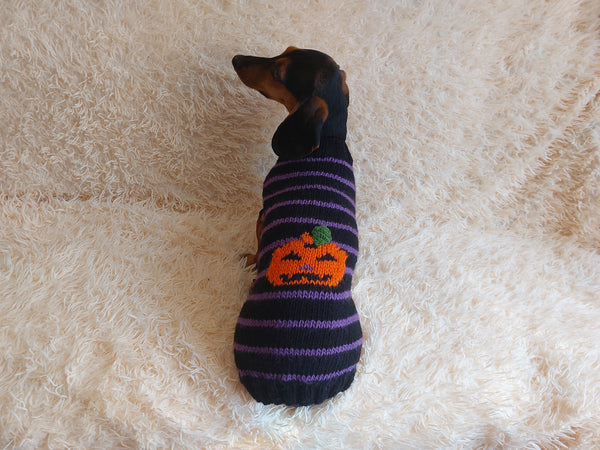 Dog costumes pumpkin sweater, dog costumes for halloween, pumpkin halloween costumes for pets, puppies, cat and dog sweater for halloween