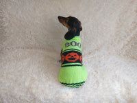 Dog costumes boo pumpkin sweater, dog costumes for halloween, pumpkin halloween costumes for pets, puppies, cat and dog sweater halloween