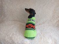 Dog costumes boo pumpkin sweater, dog costumes for halloween, pumpkin halloween costumes for pets, puppies, cat and dog sweater halloween