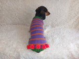 Pumpkin Halloween Clothes for Pets - Dog and Cat Pumpkin Sweater - Halloween Outfit Dachshund Pumpkin Costume