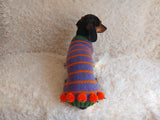 Pumpkin Halloween Clothes for Pets - Dog and Cat Pumpkin Sweater - Halloween Outfit Dachshund Pumpkin Costume