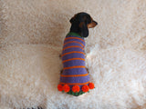 Pumpkin Halloween Clothes for Pets - Dog and Cat Pumpkin Sweater - Halloween Outfit Dachshund Pumpkin Costume