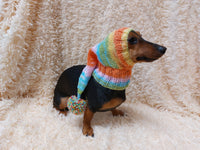 Winter Christmas clothes for dogs knitted hat with pompon, doxie clothes, doxie hat