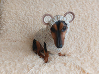 Вear hoodie for dog aran melange cable suit with ears for dachshund