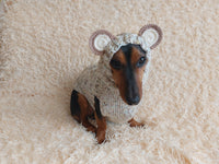 Вear hoodie for dog aran melange cable suit with ears for dachshund