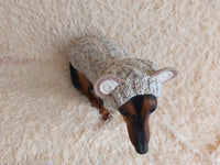 Вear hoodie for dog aran melange cable suit with ears for dachshund