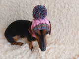Rainbow striped snood hat for dogs, rainbow hat for dachshunds with open ears