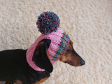 Rainbow striped snood hat for dogs, rainbow hat for dachshunds with open ears