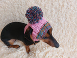 Rainbow striped snood hat for dogs, rainbow hat for dachshunds with open ears