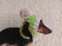 Hat for dog with pompom and holes for the ears