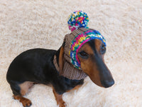 Rainbow striped snood hat for dogs, rainbow hat for dachshunds with open ears