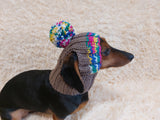 Rainbow striped snood hat for dogs, rainbow hat for dachshunds with open ears