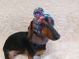 Rainbow striped snood hat for dogs, rainbow hat for dachshunds with open ears