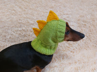 Dino dachshund, dino hat for dachshund or small dog, dinosaur clothes for dogs