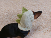 Dino dachshund, dino hat for dachshund or small dog, dinosaur clothes for dogs