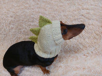 Dino dachshund, dino hat for dachshund or small dog, dinosaur clothes for dogs