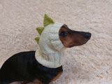 Dino dachshund, dino hat for dachshund or small dog, dinosaur clothes for dogs