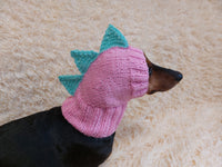 Dino dachshund, dino hat for dachshund or small dog, dinosaur clothes for dogs