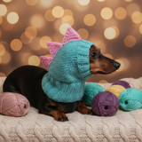 Dino dachshund, dino hat for dachshund or small dog, dinosaur clothes for dogs