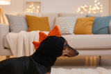 Dog clothes hat dragon dinosaur, hat dinosaur dog clothes, Dragon Dinosaur Dog Hat Hood Snood, hat for dog dinosaur