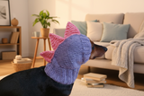 Dinosaur hat for dog, dinosaur dachshund knitted hat, dino dog clothes