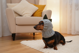 Dino dachshund, dino hat for dachshund or small dog, dinosaur clothes for dogs